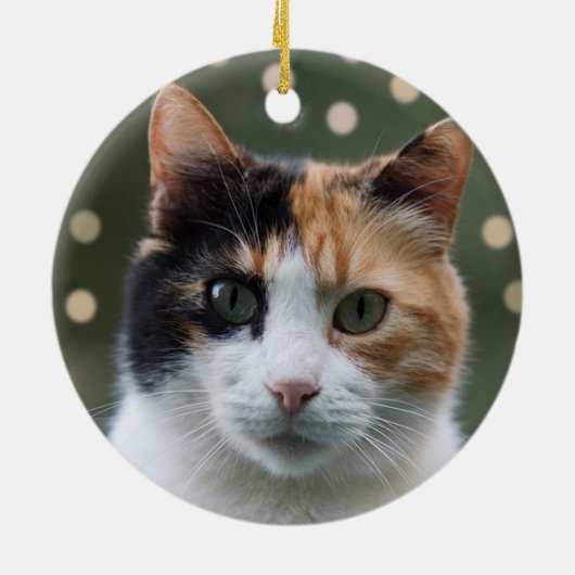 Aangepaste Calico Cat foto gepersonaliseerd Keramisch Ornament (Achterkant)