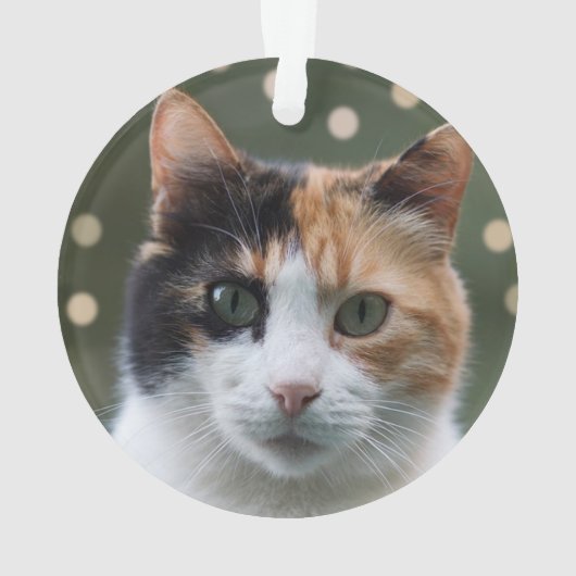 Aangepaste Calico Cat foto gepersonaliseerd Ornament (achterkant)