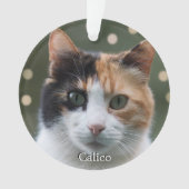 Aangepaste Calico Cat foto gepersonaliseerd Ornament (voorkant)