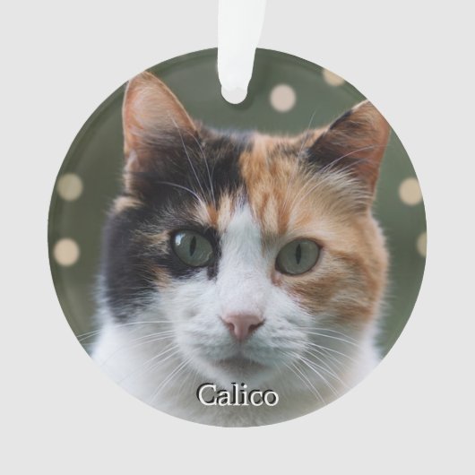 Aangepaste Calico Kat Foto Gepersonaliseerd Ornament (voorkant)