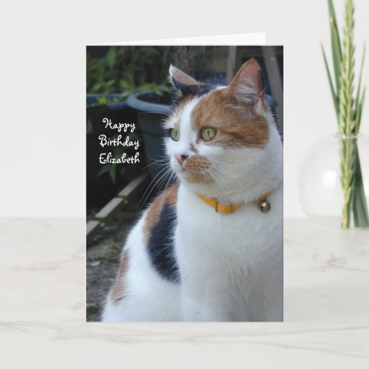 Aangepaste Calico schattige kat Birthday Kaart (Voorkant)