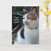Aangepaste Calico schattige kat Birthday Kaart (Gele Bloem)