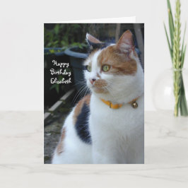 Aangepaste Calico schattige kat Birthday Kaart