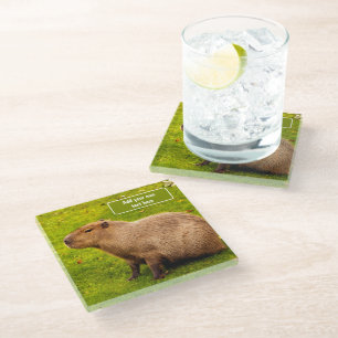 Aangepaste Capybara Glazen Onderzetter