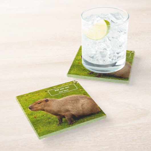 Aangepaste Capybara Glazen Onderzetter (Schuin)