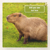 Aangepaste Capybara Glazen Onderzetter (Voorkant)