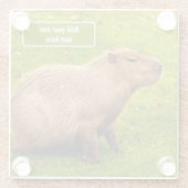 Aangepaste Capybara Glazen Onderzetter (Achterkant)
