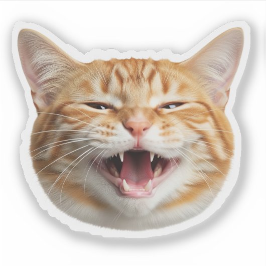 Aangepaste Cat Face Sticker – Gepersonaliseerde fo (Voorkant)
