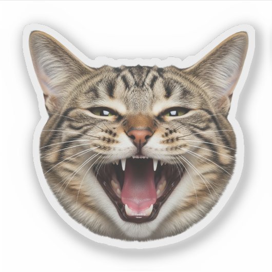 Aangepaste Cat Face Sticker – Grappige gepersonali (Voorkant)