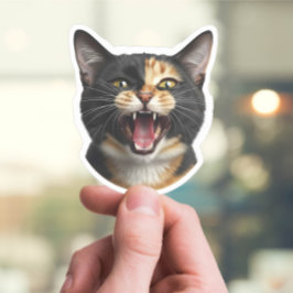 Aangepaste Cat Face Sticker – Grappige gepersonali