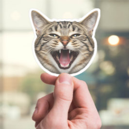 Aangepaste Cat Face Sticker – Grappige gepersonali
