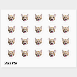 Aangepaste Cat Face Stickers Gepersonaliseerde Gez