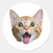 Aangepaste Cat Face Stickers Gepersonaliseerde Gez (Voorkant)