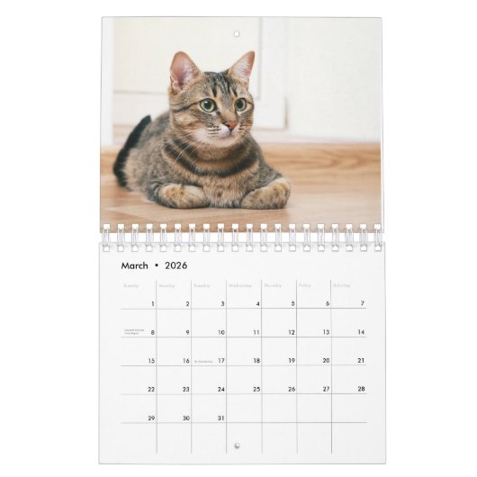 Aangepaste Cat foto's Kalender (Mar 2026)