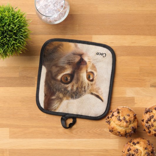 Aangepaste CAT-fotosjabloon Pannenlap (Top down)