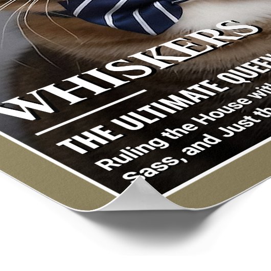 Aangepaste Cat Magazine Hoesje Sjabloon Pet Portra Poster (Hoek)