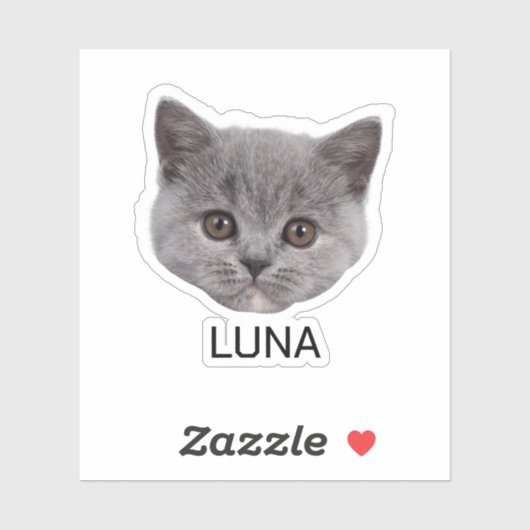 Aangepaste Cat Photo Face Sticker (Vel)