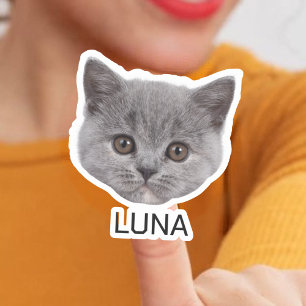 Aangepaste Cat Photo Face Sticker