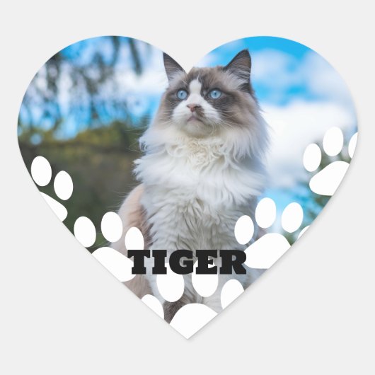 Aangepaste Cat Photo Heart Sticker met naam (Voorkant)