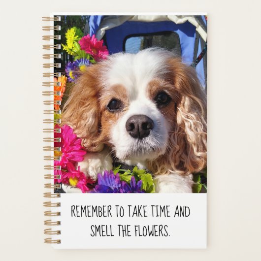 Aangepaste cavalier Dog Planner (Voorkant)