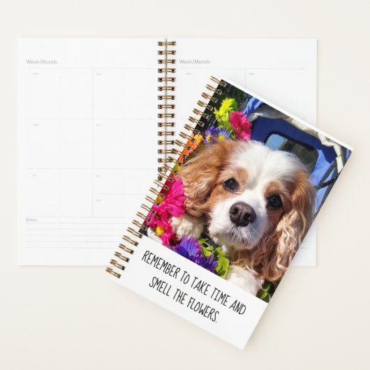 Aangepaste cavalier Dog Planner (Display)