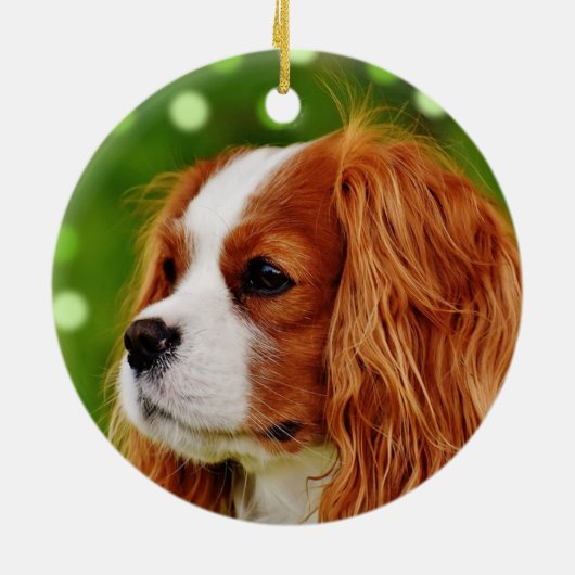 Aangepaste Cavalier King Charles Spaniel Hond Foto Keramisch Ornament (Achterkant)