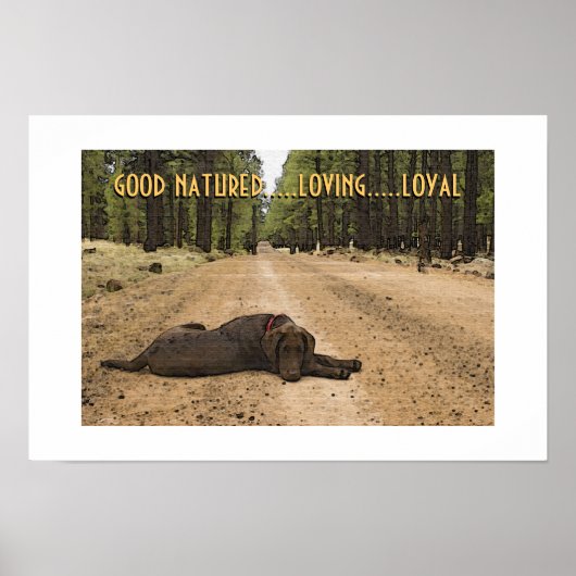 Aangepaste Chocolate Labrador Puppy Op Bospad Poster (Voorkant)