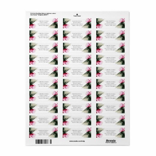 Aangepaste Christine - Label (Full Sheet)