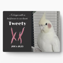 Aangepaste Cockatiel Foto Herdenking