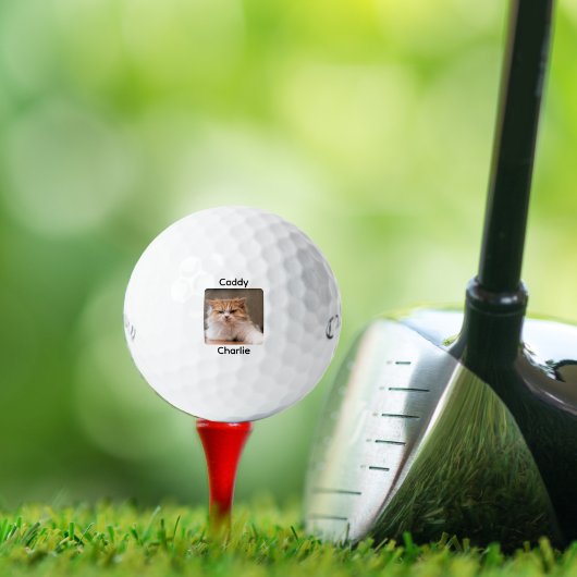 Aangepaste Creëer Uw Eigen Kat Foto Gepersonalisee Golfballen