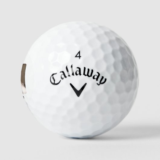 Aangepaste Creëer Uw Eigen Kat Foto Gepersonalisee Golfballen (Logo)