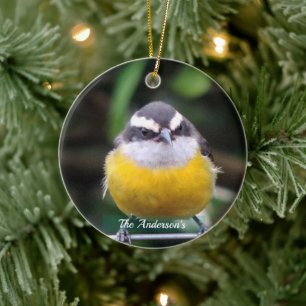 Aangepaste Cute Gele Borst Vogel Foto Gepersonalis Keramisch Ornament