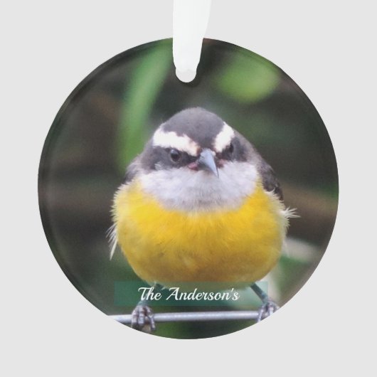 Aangepaste Cute Gele Borst Vogel Foto Gepersonalis Ornament (voorkant)