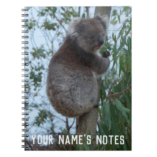 Aangepaste Cute Koala Animal Wildife Notitieboek (Voorkant)