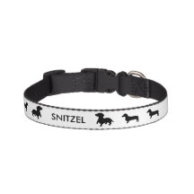 Aangepaste Dachshund Collar