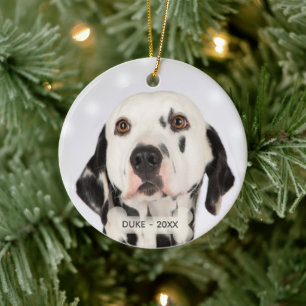 Aangepaste Dalmatische Hond Foto Keramisch Ornament