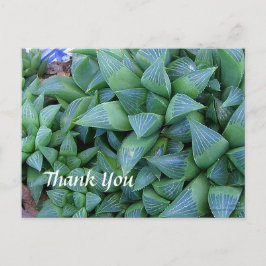 Aangepaste dank u Haworthia Planten Briefkaart
