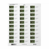 Aangepaste dinosaurus Spinosaurus Etiket (Full Sheet)