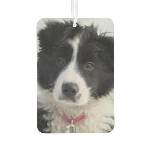 Aangepaste DIY 2 foto Eenvoudige Sjabloon Auto Luchtverfrisser (Achterkant)