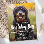 Aangepaste Dog Birthday Pet Photo Party Invitation Briefkaart<br><div class="desc">Dag jongen. Nodig vrienden en familie uit aan je puppy of hondverjaardagsfeestje met deze simpele 'pet photoverjaardagsvriendenkaart'. Voeg de favoriete foto van je pop toe en personaliseer je met naam, verjaardagsnummer en alle info over verjaardagsfeestjes! Verander naar het meisje van Birthday van een meisje pup. Bezoek ons collectie voor het...</div>