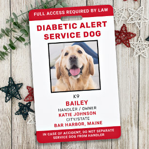 Aangepaste Dog Diabetic Alert Dog Foto Badge