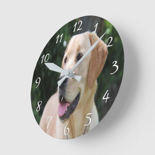 Aangepaste dog foto acrylwand ronde klok (Hoek)