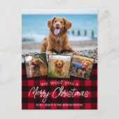 Aangepaste Dog Pet Foto Collage Red Buffalo Pset Feestdagenkaart (Voorkant)