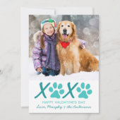 Aangepaste Dog Pet Foto XOXO Moderne Valentijnsdag Feestdagenkaart (Voorkant)