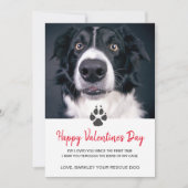 Aangepaste Dog Photo Valentin Day Card van de redd Feestdagenkaart (Voorkant)