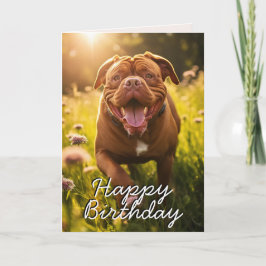 Aangepaste Dogue de Bordeaux Happy Birthday Kaart