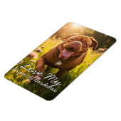 Aangepaste Dogue de Bordeaux Koelkast Magneet (Linkerzijde)