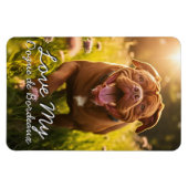 Aangepaste Dogue de Bordeaux Koelkast Magneet (Horizontaal)