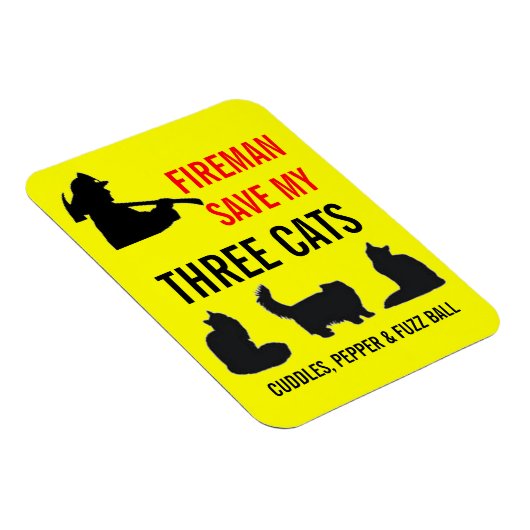 Aangepaste drie kat brandveiligheid magneet (Rechterzijde)