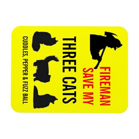 Aangepaste drie kat brandveiligheid magneet (Horizontaal)